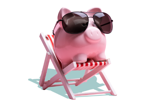 piggy bank in chair enjoying sun